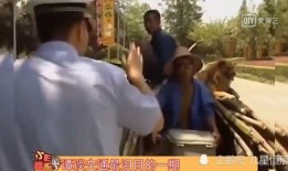 平安大爷最新爆料视频,最新爆料视频深度解析