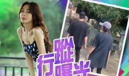 秦岚爆料了什么节目啊视频,独家视频首度曝光